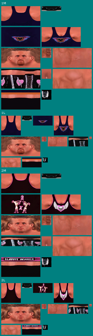 WWF War Zone - Owen Hart