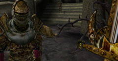 The Elder Scrolls III: Morrowind