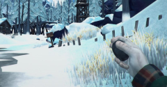 The Long Dark