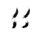 Crow Feathers