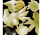 Chocobo (White)