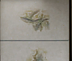 General Textures