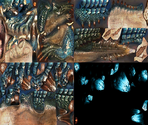 Lagiacrus