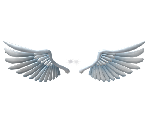 Sparkling Angel Wings