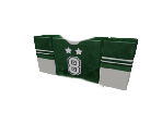 Green Jersey