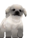 Nintendogs