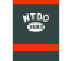 team ntdo tee