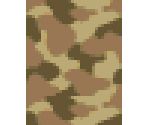 desert-camo shirt