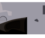 Mafia's Gun