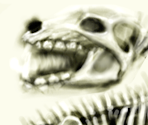 Skeleton Krug Dog