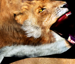 Smilodon