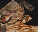 Caveman Painting (Rock)