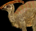 Parasaulophus Sculpture