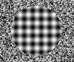 Optical Illusion Shirt