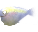 Giant Hatchetfish