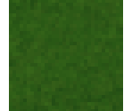 Grass