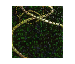 Green Mosaic