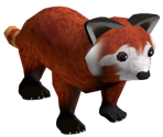 Red Panda