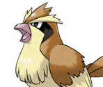 #016 Pidgey