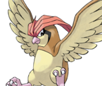 #017 Pidgeotto