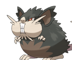 #020 Alolan Raticate