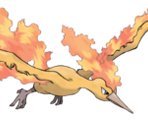 #146 Moltres