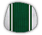 Green Stripes Skin