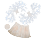 Frilled Anemone