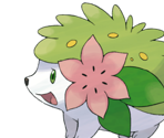 #027 Shaymin