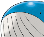 #104 Wailord