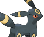 #212 Umbreon