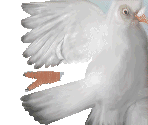 Bird 1
