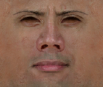 The Rock