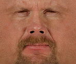 Steve Austin