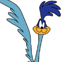 Road Runner