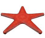 Starfish