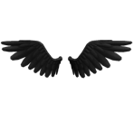 Vulture Wings - Twenty One Pilots