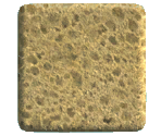 Basic Sponge