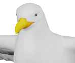 Seagull