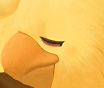 Chocobo