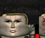 Raiden