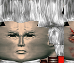 Raiden 2