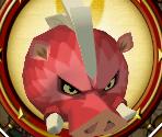 Boar