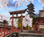 Kyoto in Bloom