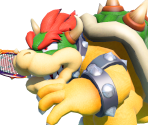 Bowser