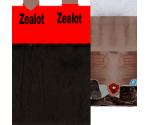 Zealots
