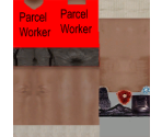 Parcel Workers