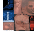 Boxer