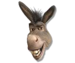 Donkey