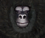 Great Gorilla